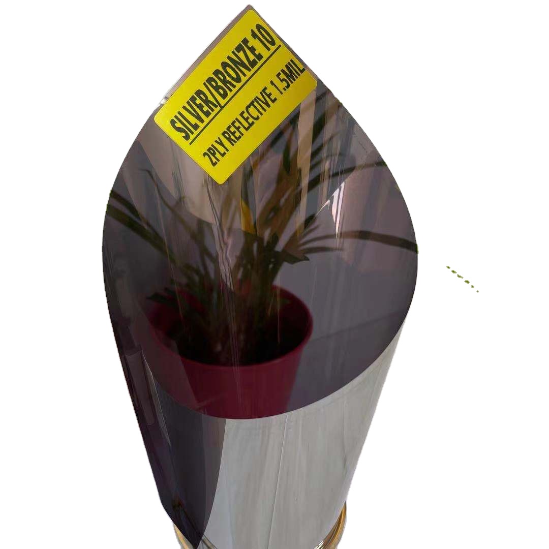 SILVER BRONZE 10 BUILDING ARCHITECTURE COMMERCIAL GLASS WINDOW FILM RESIDENTIAL ARCHITECTURE FILM